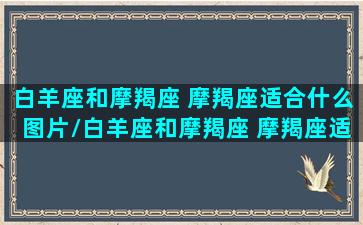 白羊座和摩羯座 摩羯座适合什么图片/白羊座和摩羯座 摩羯座适合什么图片-我的网站